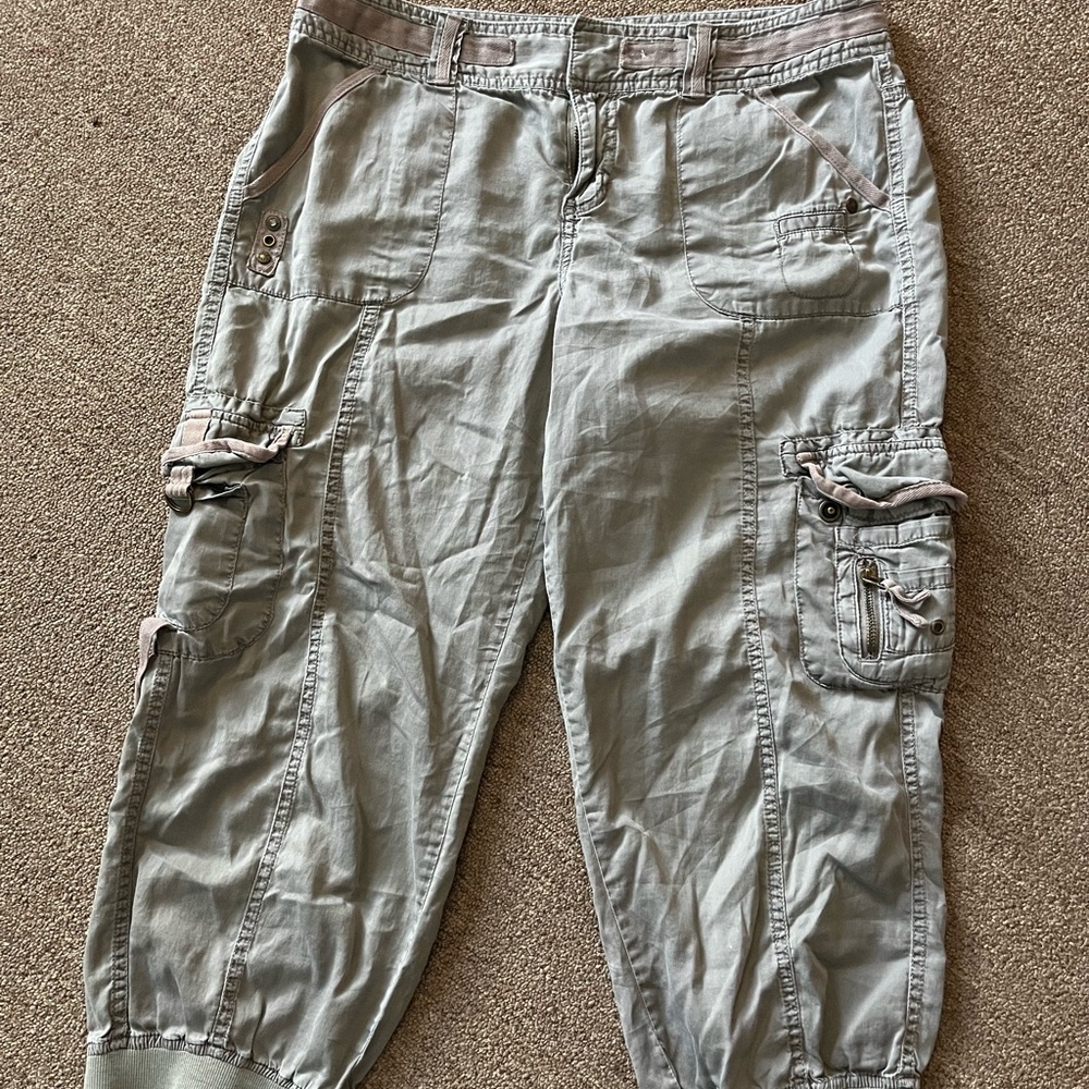 Apt. 9 Taupe Cargo Pants